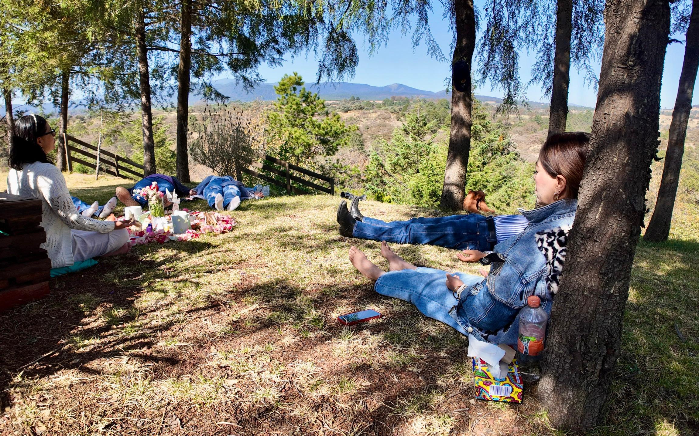Descanso en el bosque. Rancho Bellavista.