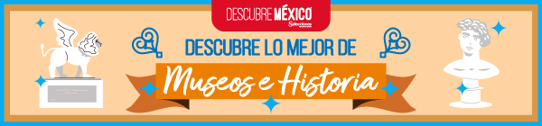 Cintillo Museos