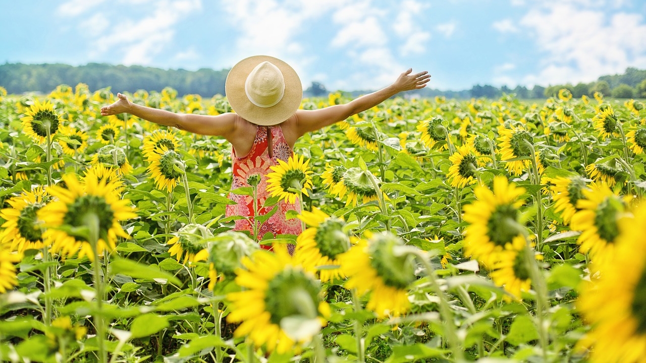 Rodéate de flores en el Festival Entre Girasoles