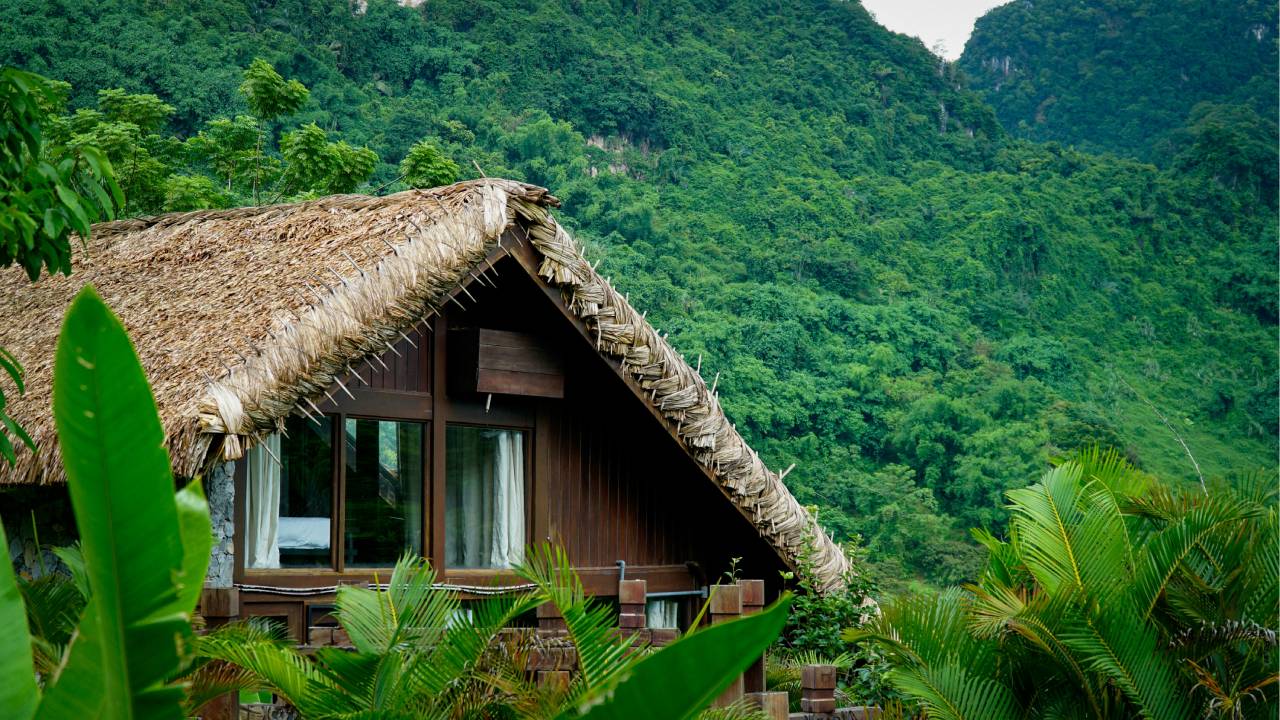 Cuatro destinos en México para disfrutar de turismo sustentable