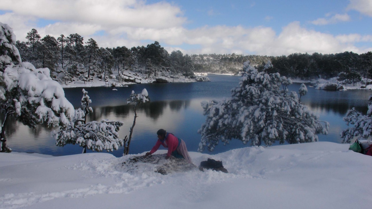 Disfruta de la naturaleza y navega por el lago Arareko
