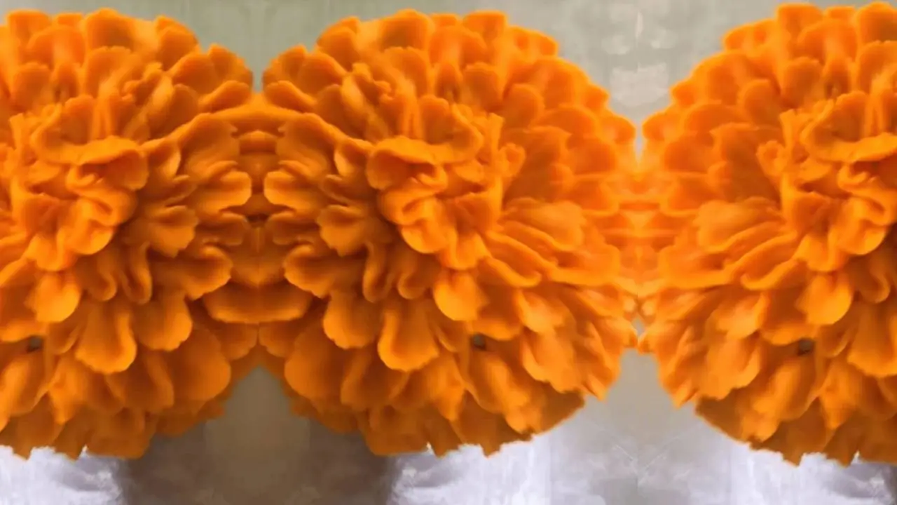 Conchasúchitl: dónde comprar la concha con forma de flor de cempasúchil Conchasúchitl: dónde comprar la concha con forma de flor de cempasúchil