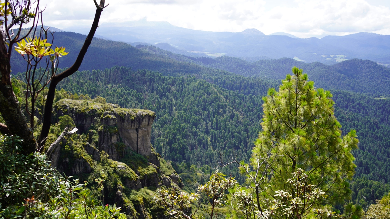 Ruta Nevado-Valle: Un viaje de senderismo que se convierte en una experiencia sensorial