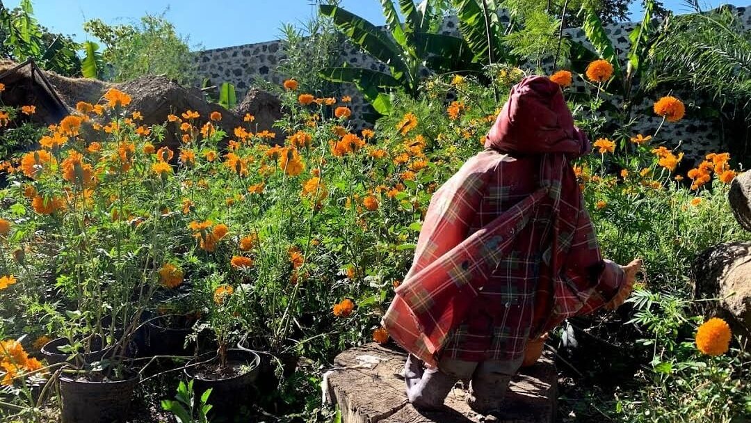 Paramo de los duendes en Huaquechula, Puebla. Paramo de los duendes en Huaquechula, Puebla.