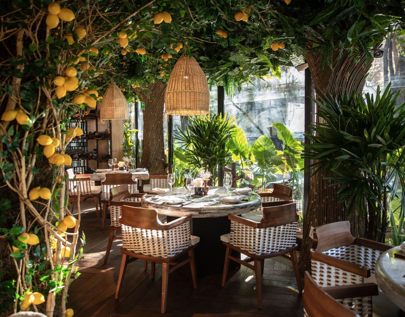 Restaurante Beluga en Masaryk